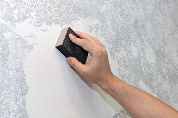 Best Water Damage & Mold Remediation  in Anoka, MN