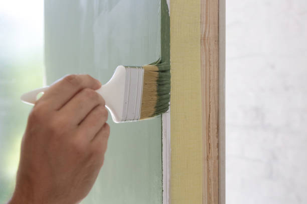 Best Post-Construction Mold Inspection  in Anoka, MN