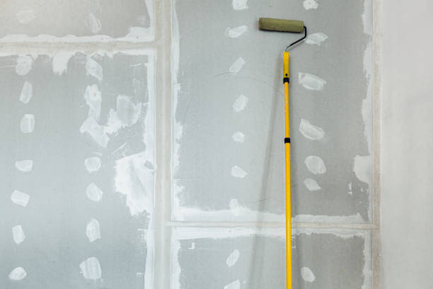Best Post-Remediation Verification Testing  in Anoka, MN