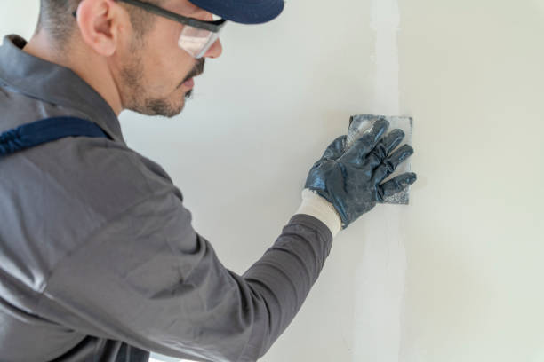 Best Mold Remediation for Healthcare Facilities  in Anoka, MN