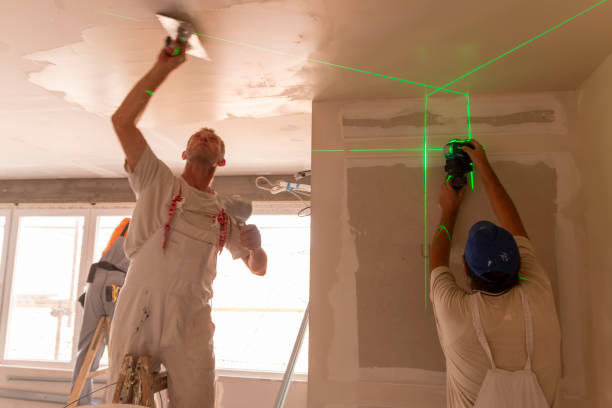 Best Crawl Space Mold Remediation  in Anoka, MN