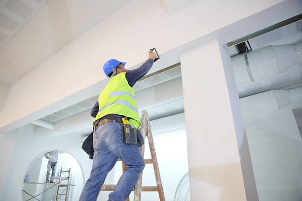 Trusted Anoka, MN Mold Removal Experts